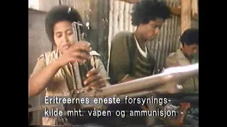 1981 in Eritrea, Norwegian doc