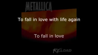 Metallica - Fixxxer Lyrics (HD)