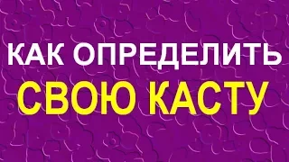 4 Касты. Простой способ определить свою Касту. Евгений Джим - Чакры ТВ