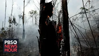 How Amazon deforestation could push the climate to a 'tipping point'