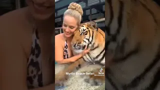 TIGER? Kiss your pet on the head and see their reaction #Shorts #tiktokpets  #tiktokcompilation