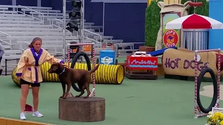 Pets Rule full show at SeaWorld