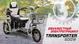 Двухместный электротрицикл для пожилых Transporter