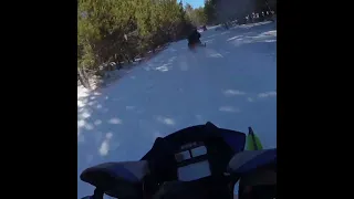 Arctic Cat Riot X 3/6/21 Ishpeming/ Big Bay