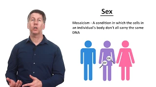 Sex, Gender, and Sexuality - Explained