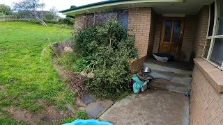 Will we be able to Fix this Disaster | Huge Overgrown Garden!!!