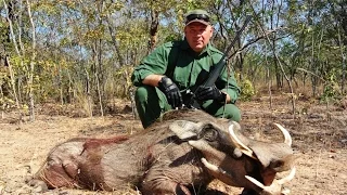 ОХОТА на африканских кабанов в Зимбабве 2013  (Hunting in Africa)