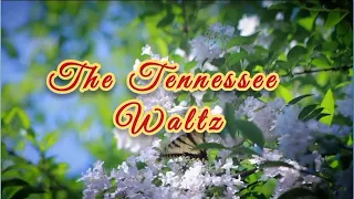 The Tennessee Waltz ( Instrumental )