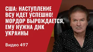 США: наступления ВСУ идет успешно! / Мордор вырождается, ему нужна ДНК Украины // №497 - Юрий Швец