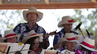 Ukulele Festival Hawaii 2015 -- Sunset Strummers Ukulele Ohana (California)