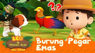 Apakah itu BURUNG PELANGI legendaris?! 🌈🐦 | Burung Pegar Emas | Leo Si Penjaga Alam | #minisode