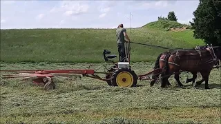 1st cut 2022 | Mowing, raking, round baling and wrapping | Grass harvest with horses 🐴