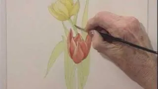 Botanical Art Techniques - Part Two