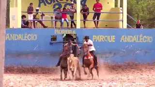 Bolão  de  Vaquejada  da Agrovila 23  Carinhanha /Ba