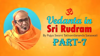 07_Vedanta in Sri Rudram by Swami Tattvavidananda Saraswati