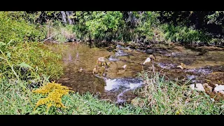 Relaxing Ambient nature stream sounds