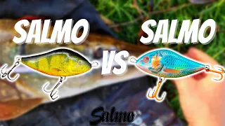 Salmo Real Hot Perch VS Salmo Bleeding Blue!! - Which LURE Can Catch More PIKE?
