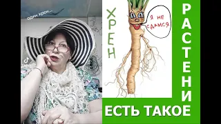 Есть такое растение - хрен