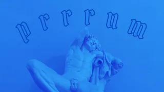 Prrrum - Brodox