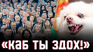 Вось чаго найбольш баяцца лукашысты! Белы шпіц і 5 кніг класікаў | «Экстрэмістка» Лідзія Арабей