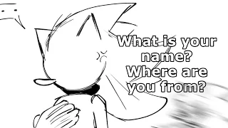 What is your name? Where are you from? | sonic the hedgehog | context in description