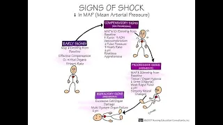 Progressive stage of shock Physiology