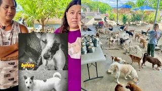 Mag Asawa Pinagpalit ang Trabaho sa Hotel para makapag Full Time sa 700+ Rescued Animals