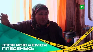 «Покрываемся плесенью». Жители Аргаяшского района добиваются капитального ремонта дома