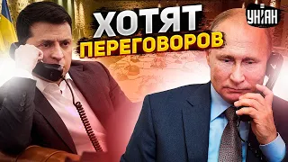 😱 Путин потребовал срочных переговоров - у Зеленского ответили