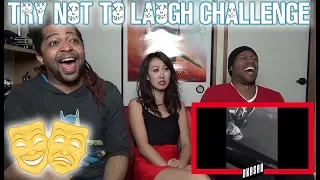 Try not to laugh CHALLENGE 29 - by AdikTheOne REACTION / CHALLENGE
