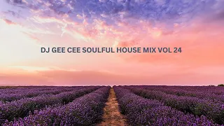 SOULFUL HOUSE MIX VOL 24