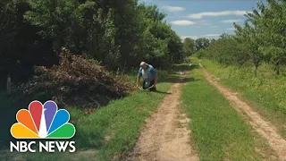 How Landmines In Ukrainian Farm Fields Contribute To The Food Supply Crisis