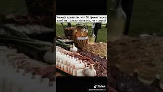 Пей закуску, закусывай водку