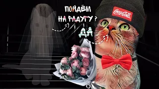 СВИДАНИЕ СЛАДУНА С КОШКОЙ-ПРИЗРАКОМ МУРКОЙ | кот стал призраком