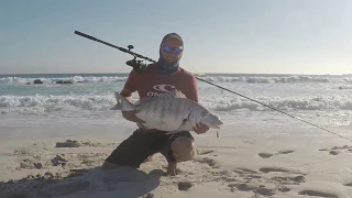 KKM Andries Geldenhuys 13kg Steenbras