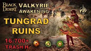 BDO | Valkyrie Awakening - Tungrad Ruins - Combo & Addons | 16.700+ H Lv.2 |