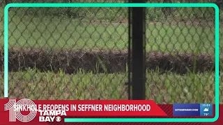 Sinkhole reopens in Seffner neighborhood