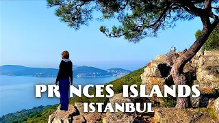 ISTANBUL PRINCES ISLANDS Trip in Winter / Turkey Travel Vlog / Eastern Europe Travel