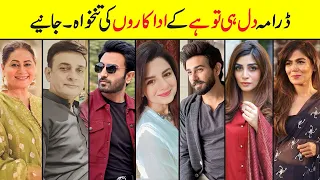 Dil Hi Tou Hai Drama Cast Salary epi 6| Dil Hi Tou Hai Drama All Cast Salary #aliansari #mariamalik