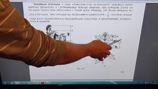 Задача номер 1038 (1022) по Математике 6 класс Виленкин