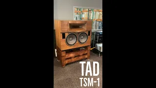 The Legendary TAD TSM-1 Speakers