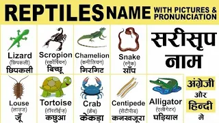 Reptiles Animals Name Hindi And English |Reptiles Animals Name |