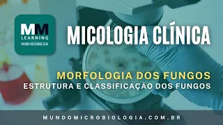 Estrutura e Classificação dos Fungos - Micologia Clínica