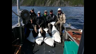 Alaskan Halibut Fishing Kodiak Alaska