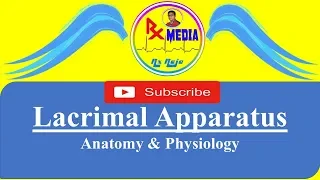 Lacrimal Apparatus anatomy & physiology By Rx MEDIA