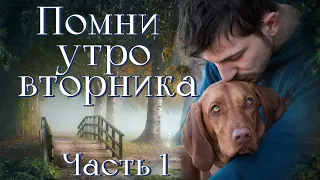 ❤Впервые на YouTube."Помни утро вторника". Новый христианский рассказ. Часть 1.