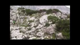 Копия видео "ОРЛИНОЕ ГНЕЗДО", Бавария