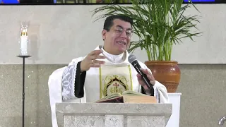 SANTA MISSA DOMINICAL  [06/11/22]  Padre Chrystian Shankar