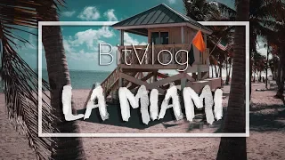 NOVO LETO NA PLAZI IN ALIGATORJI NA STRAZI | BitVlog #25