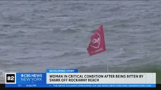 Woman in critical condition after being bitten by shark off Rockaway Beach